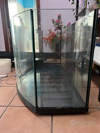 Acquario