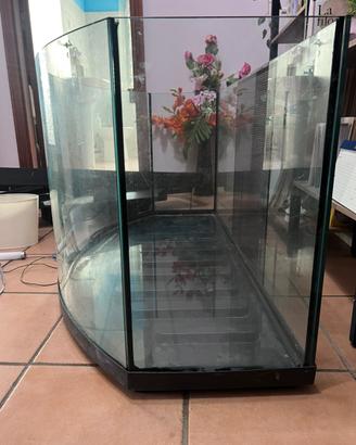 Acquario