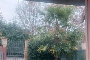 Casa piano terra con giardino