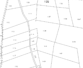 Terreni agricoli e da pascolo e casa in paese