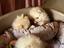 Immagine 5