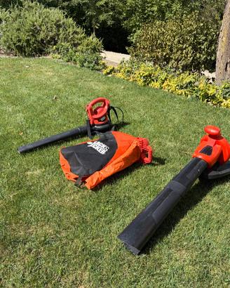 Soffiatore/Aspiratore/Tritura 2600w black&decker