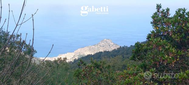 Terreno Agricolo Cefalù [TERC/12VRG]