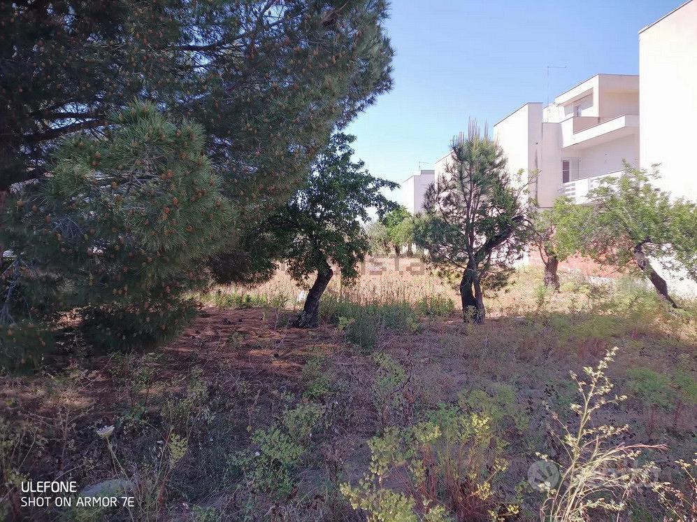 Terreno edificabile stradale scoglitti - Vista 2