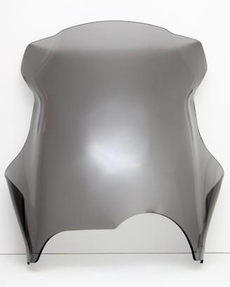 Bmw r 1150 gs cupolino parabrezza