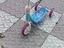 Immagine 2
