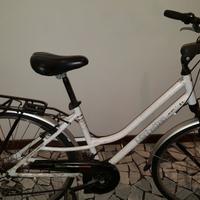 Bici mod. 28 con 21 rapporti ammortizzata anterior