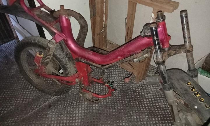 Peripoli Oxford Frankenstein