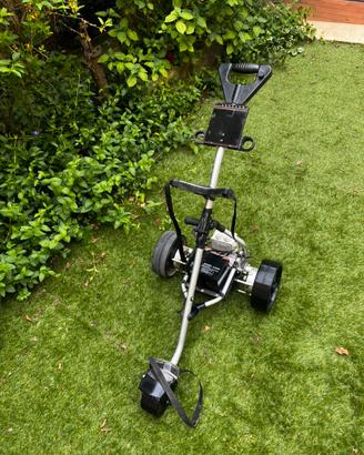 Carrello elettrico golf
