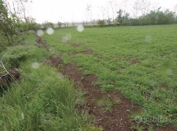 Immobile in asta di 13744 m² a Paese