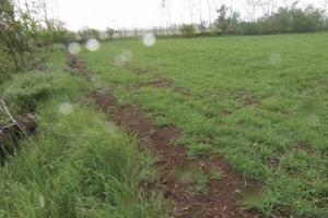 Immobile in asta di 13744 m² a Paese