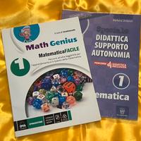 Due libri 1 anno medie matematica DSA / BES