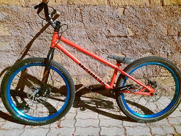 bicicletta da street trial(prezzo trattabile)