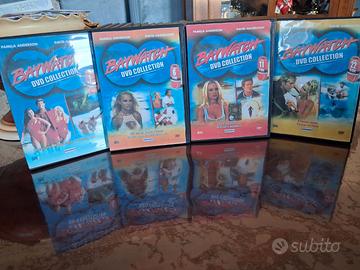 Dvd baywatch