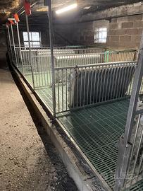 12 gabbie svezzamento per suini