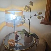 lampada da tavolo in murano