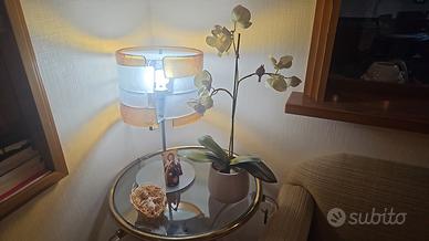 lampada da tavolo in murano