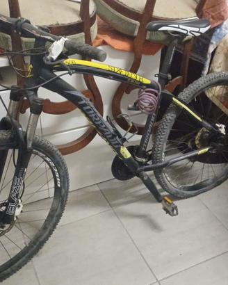BICI trekking TORPADO SATURN