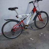 Bicicletta MTB