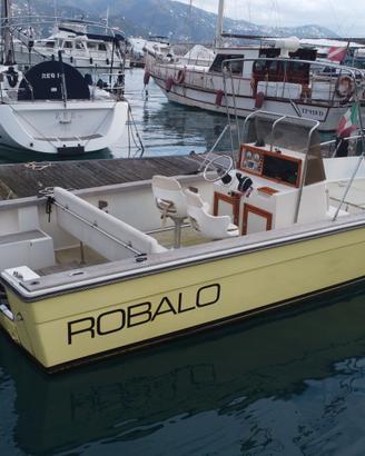 Robalo 2520 Walkaround Open 46 ore moto 2025