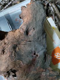 legni tropicali per acquario terrario