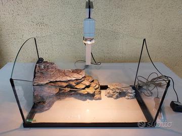 Acquario per tartarughe d'acqua