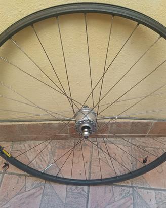 Ruota bici con mozzo dinamo