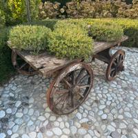 Carri da giardino