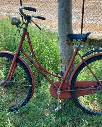 Bicicletta Olandese