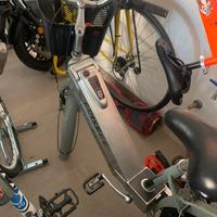 Bicicletta freesbee euro7