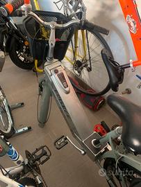 Bicicletta freesbee euro7