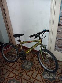 Magis 