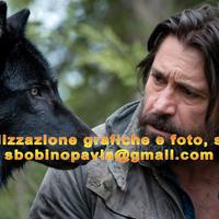 Grafico creatore di opere grafiche