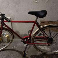 Bicicletta da uomo