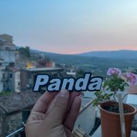 Logo posteriore fiat panda