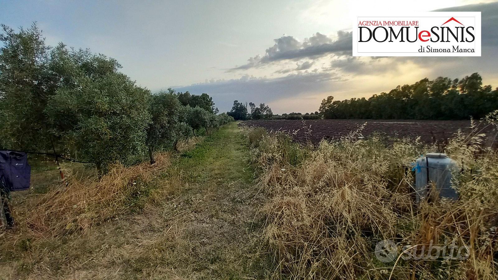 Terreno agricolo milis - Altro