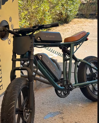 bicicletta elettrica ENGWE M20