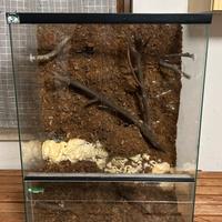 Teca / Terrario per rettili 50x33x72