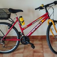 mountain bike