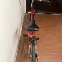 Bicicletta