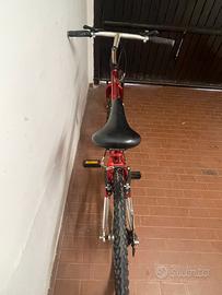 Bicicletta