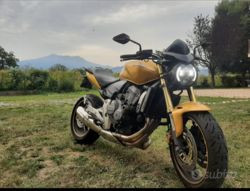 Honda hornet