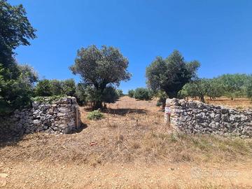 Terreno di 2900 m² a Alberobello