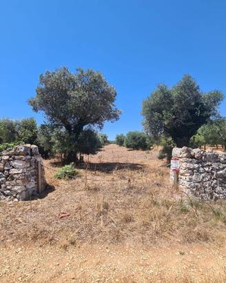 Terreno di 2900 m² a Alberobello