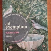 ad exemplum