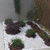 Giardiniere,potature,trinciature,innesti