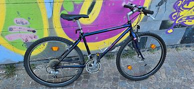 Specialized stumpjumper bici