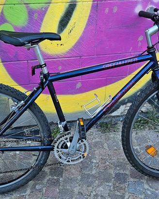 Specialized stumpjumper bici