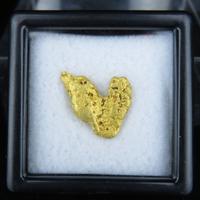 Pepite oro Australia naturali certificate