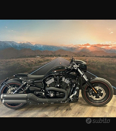 Night rod harley davidson